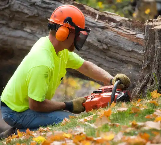 tree services Rothbury